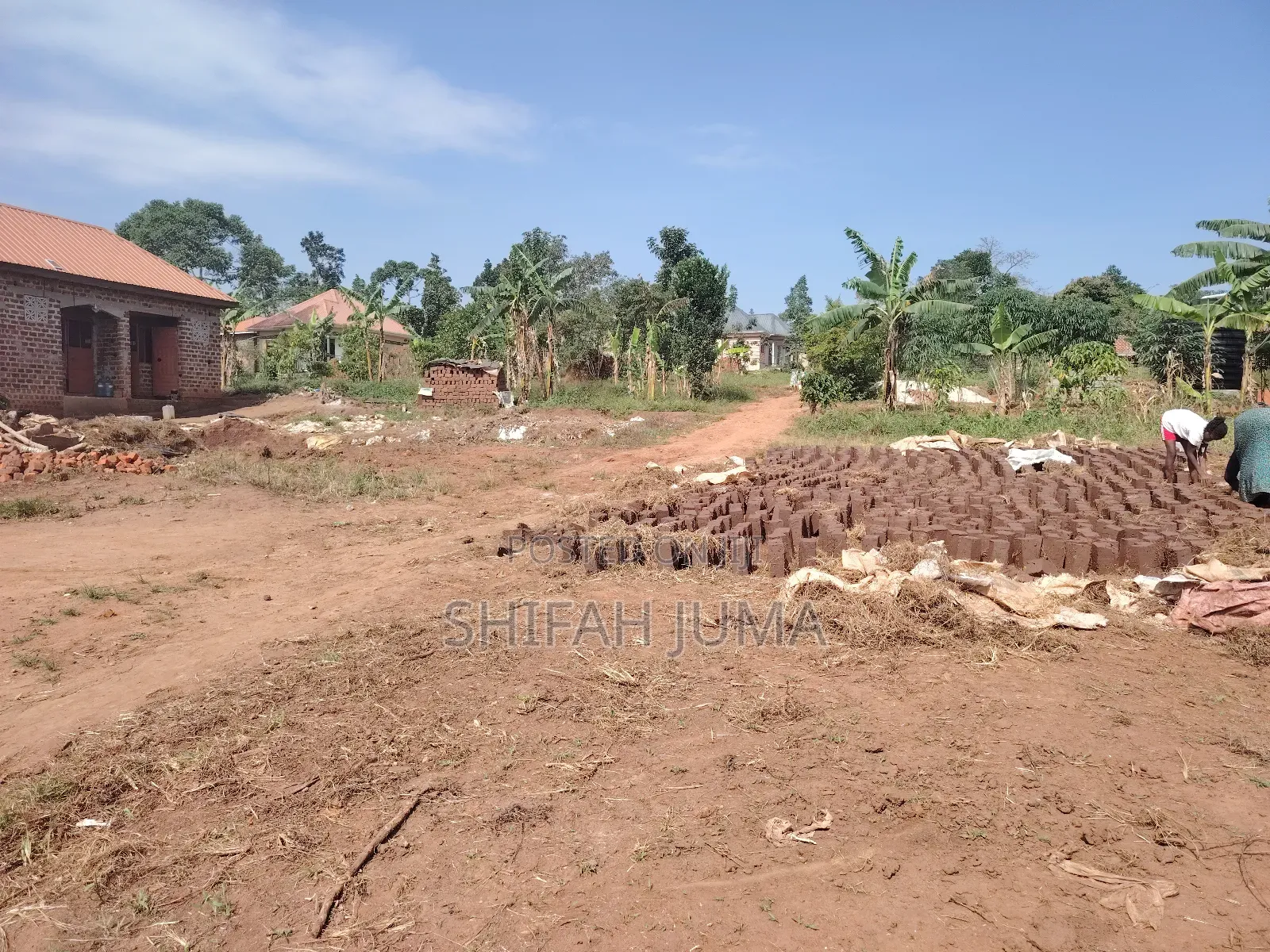 50 by 50 Ft Plot on Quick Sale