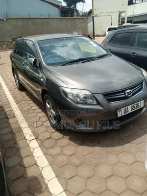 Toyota Corolla Fielder 2010 Brown