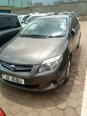 Toyota Corolla Fielder 2010 Brown