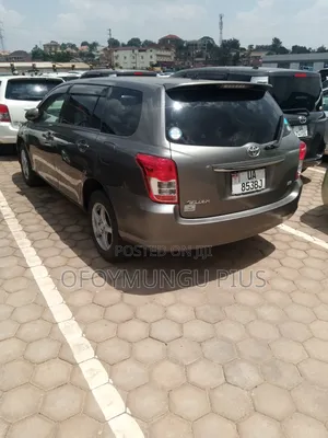 Toyota Corolla Fielder 2010 Brown