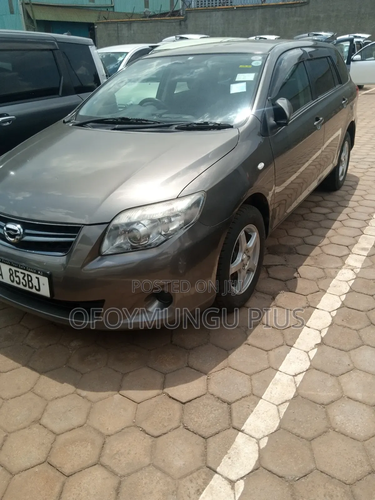 Toyota Corolla Fielder 2010 Brown
