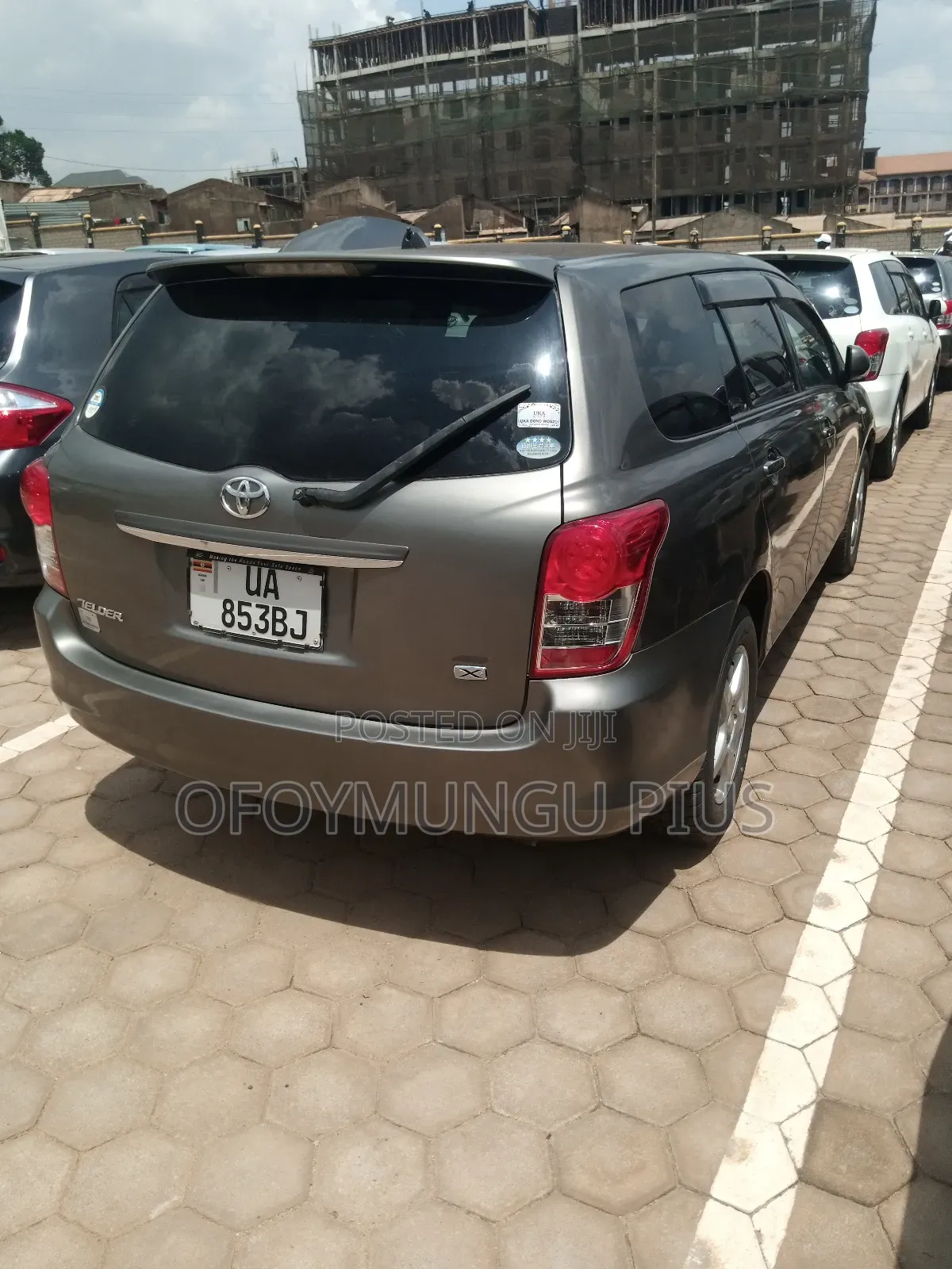 Toyota Corolla Fielder 2010 Brown
