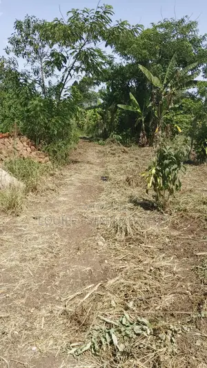 Kibanja In Equipe Estate