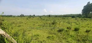 10 Hectares of Land for Sale in Rubaare Ntungamo 70m Each