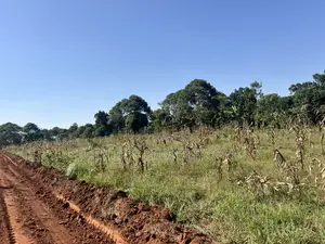 Land in Namayumba Near Pastor Bujingo Home