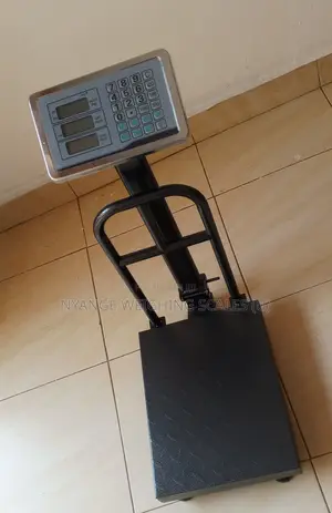 Multifunctional Weighing Scale 175kg Weigh Price Computing Weigh Scale