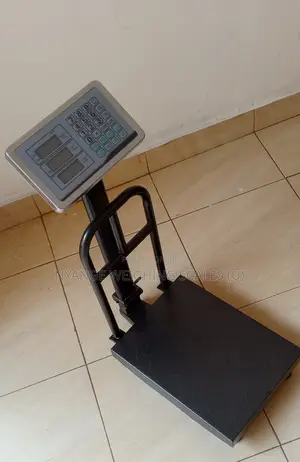 High Quality Calibrated Weighing Scales 175kg Digital Weighing Scale
