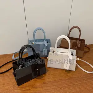 Lady Shoulder and Hand Bag
