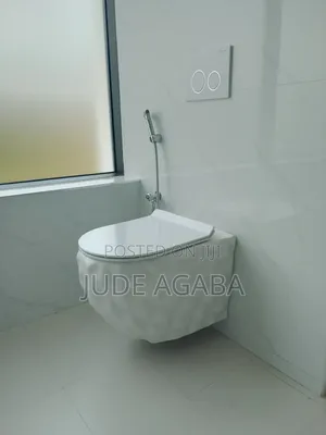 Concealed Toilet Installation