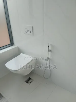 Concealed Toilet Installation