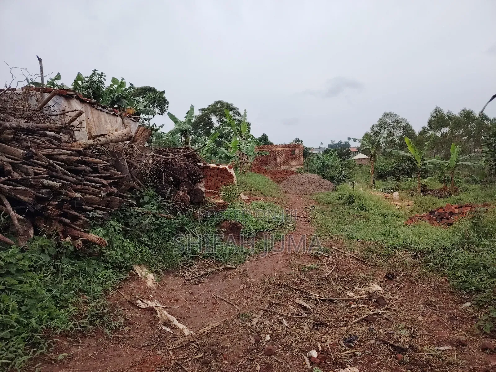 50 by 50ft Plot on Quick Sale