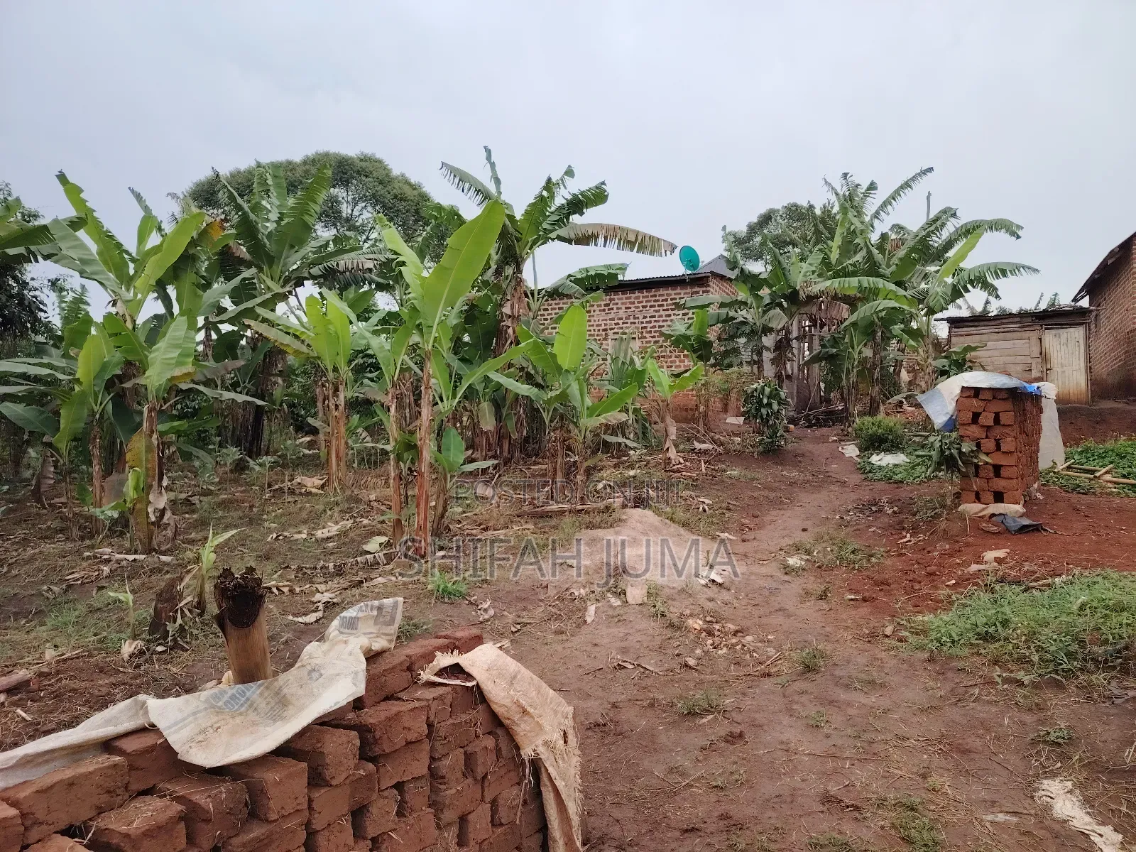 50 by 50ft Plot on Quick Sale