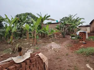 50 by 50ft Plot on Quick Sale