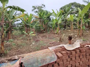 50 by 50ft Plot on Quick Sale