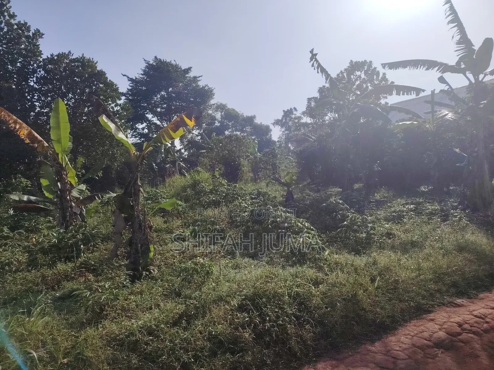 25 by 45 Ft Plots/Land