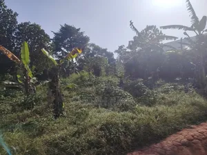 25 by 45 Ft Plots/Land