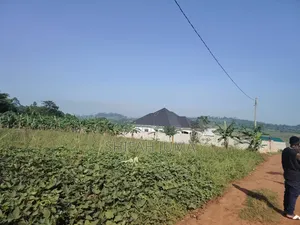 25 by 45 Ft Plots/Land