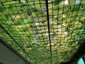 Wall Fence Plants Each Piece 3 Meters By 1