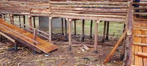 Goat Sheds