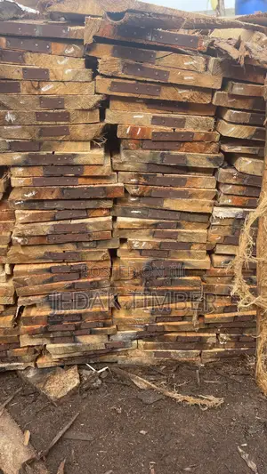 Timber For Building