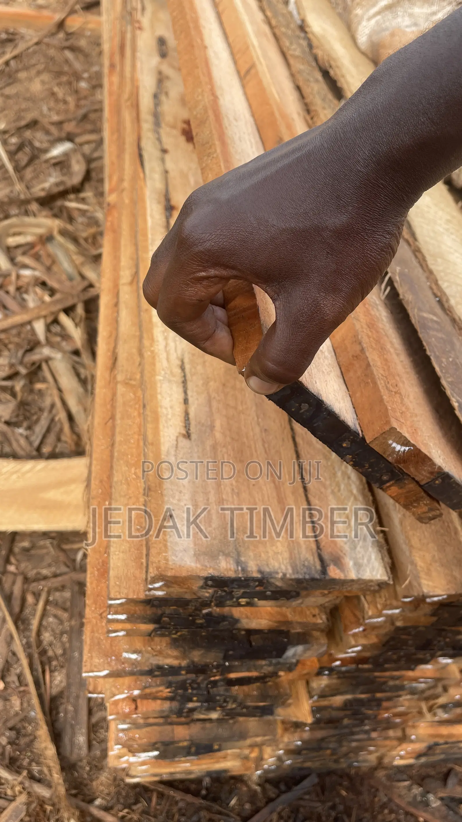 Timber For Building