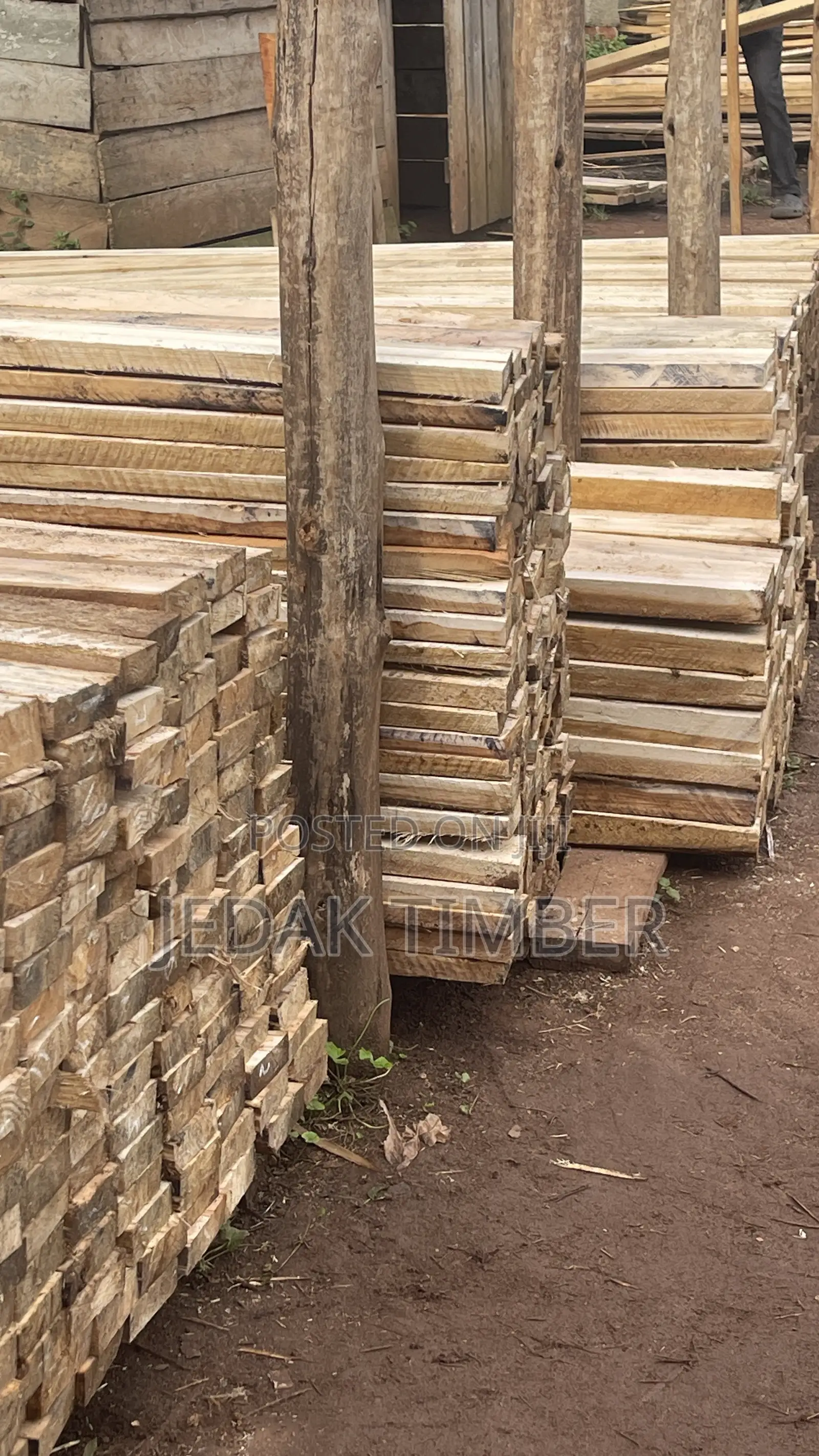 Timber for Sale