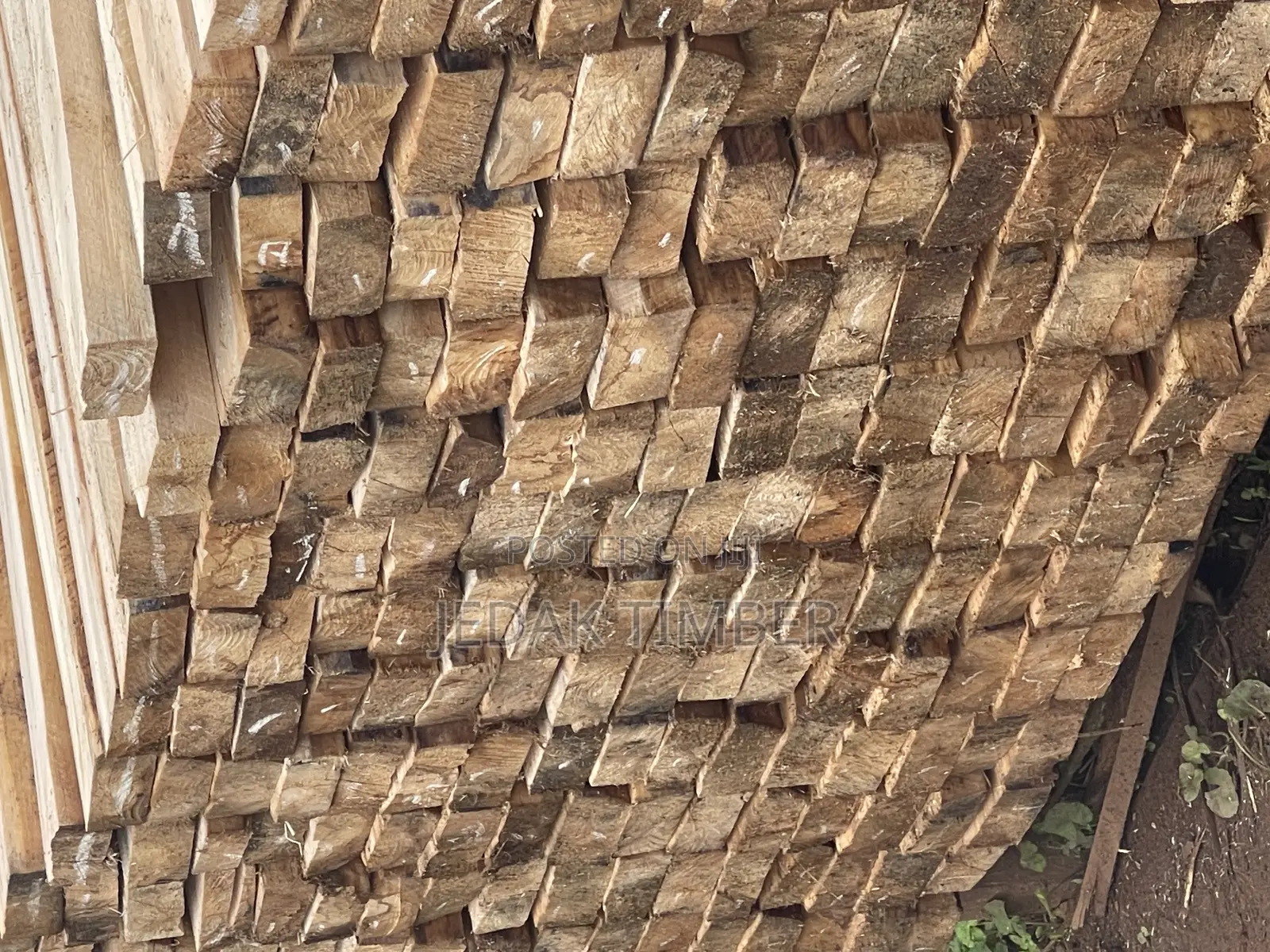 Timber for Sale