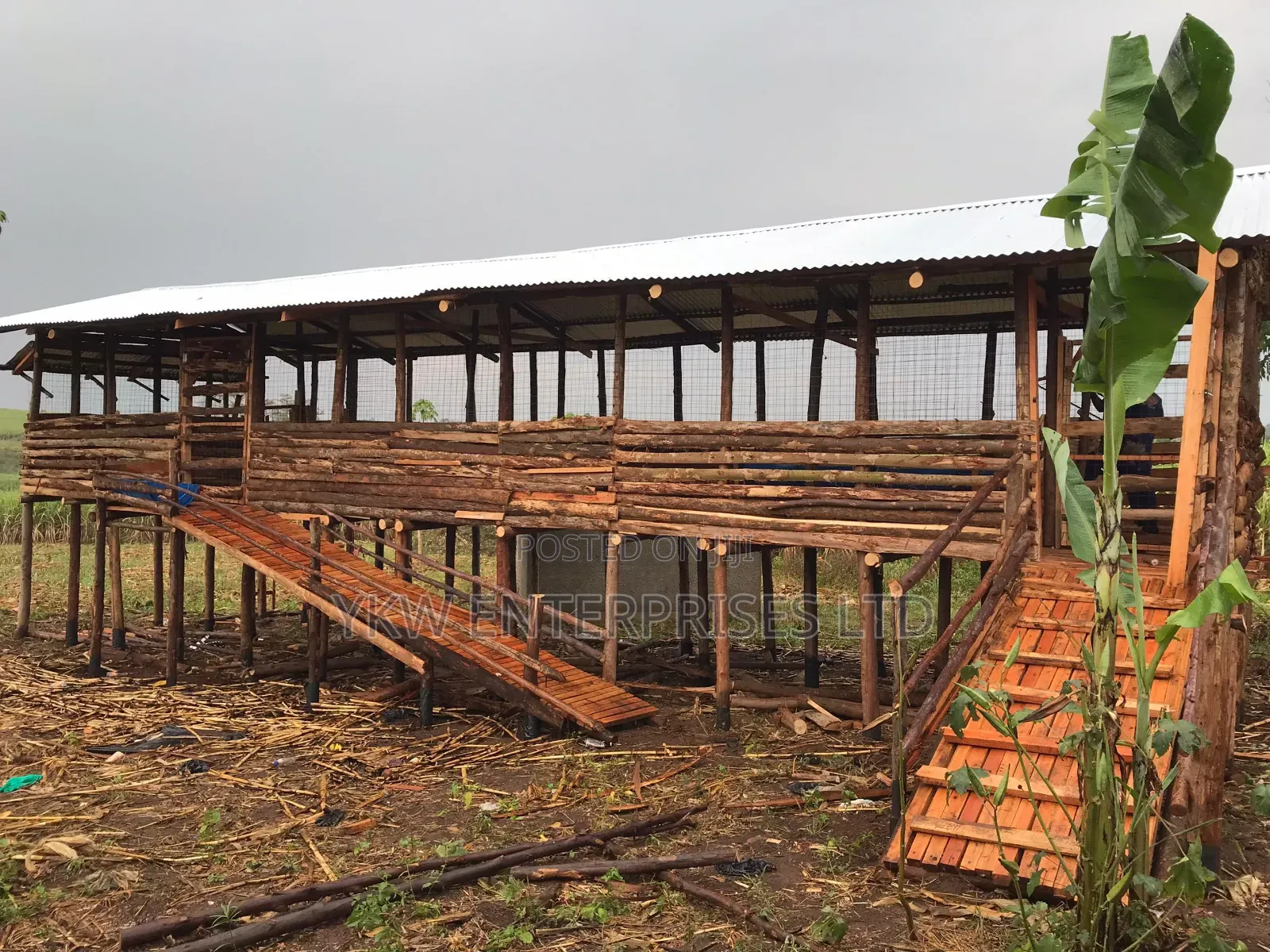 Goat Sheds Construction