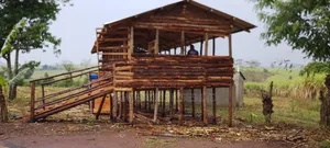 Goat Sheds Construction