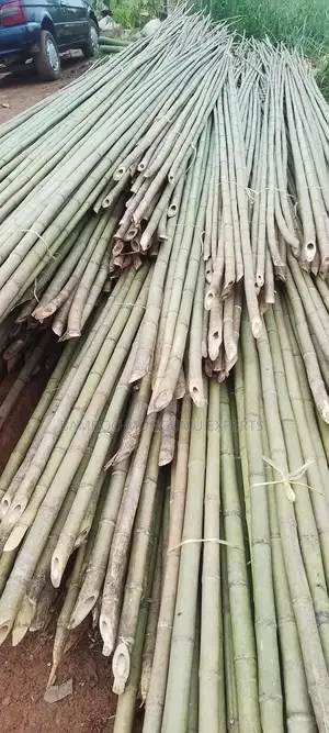 Long Bamboo Seller