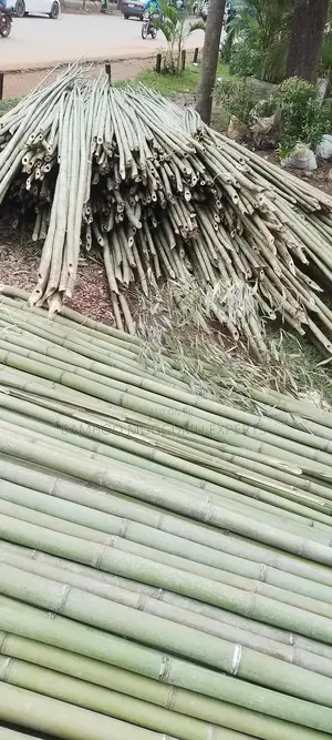 Long Bamboo Seller