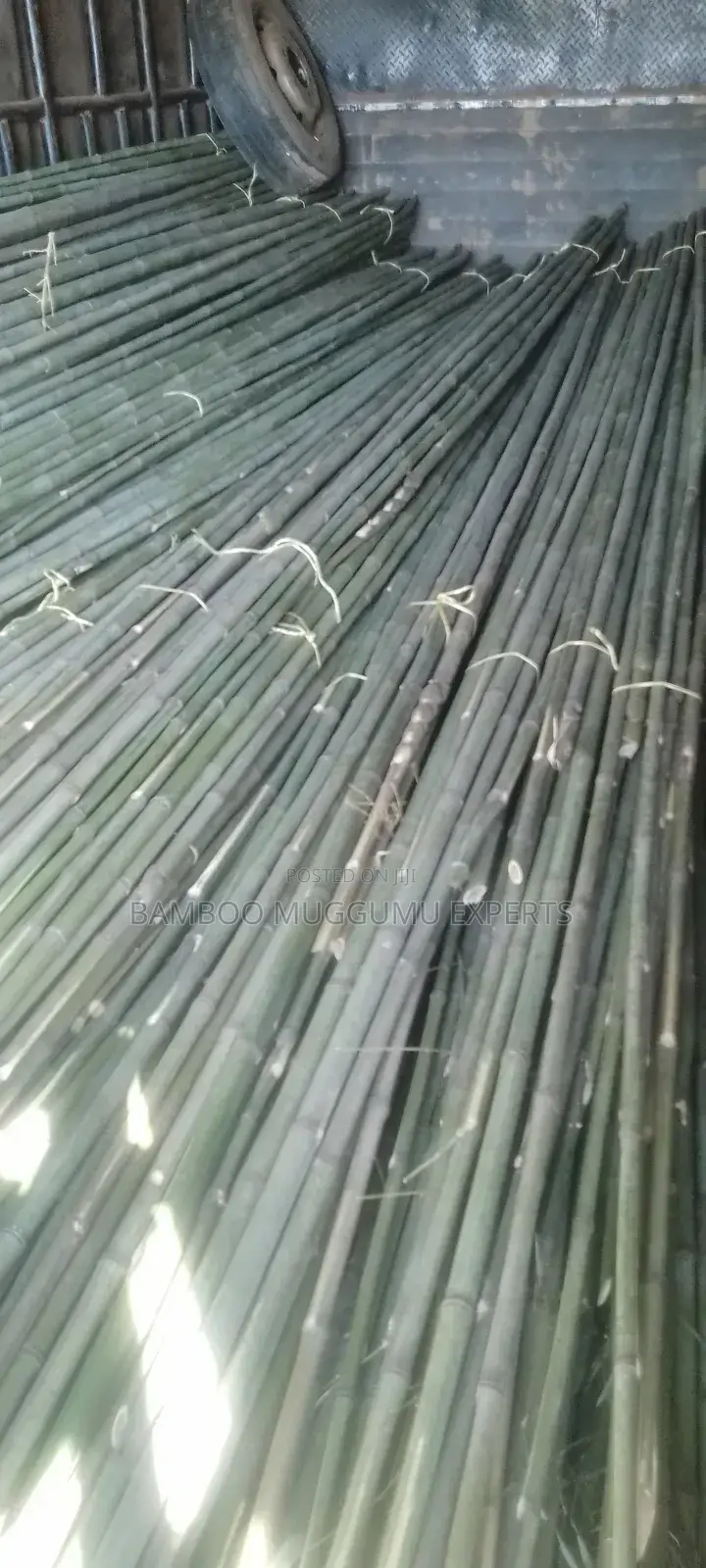 Long Bamboo Seller