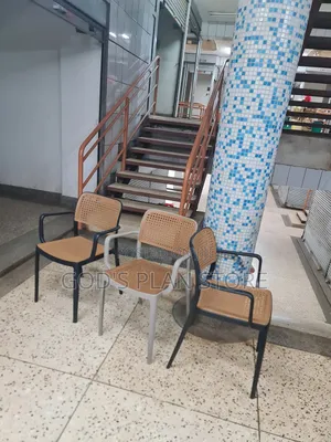 Bowfoot Industrial Plastic Chairs Plastic Chairs