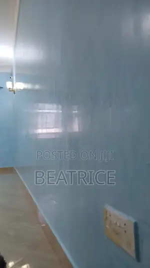 Stucco Paint