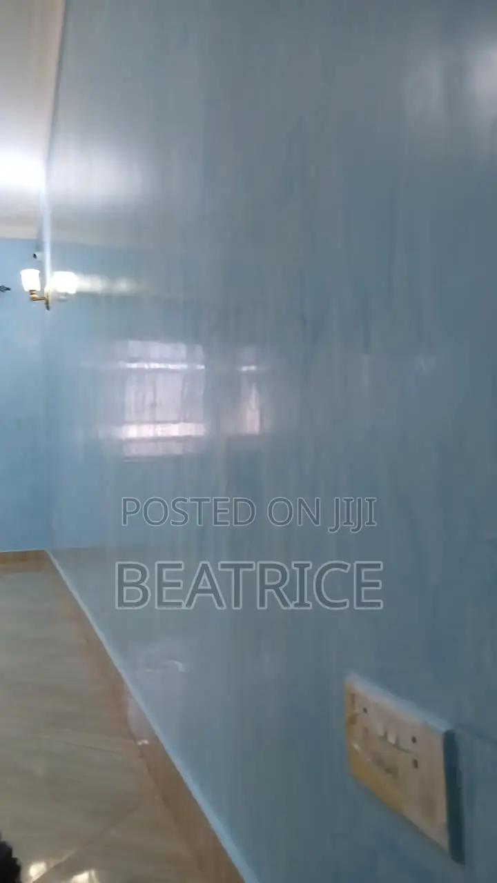 Stucco Paint