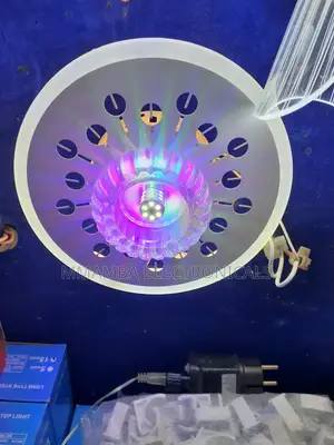 Ceiling Lamp