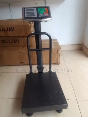 High Accuracy 155kg Digital Weighing Scale Accurate Weighing Scale