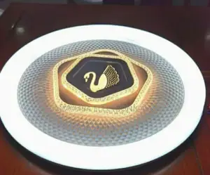 Ceiling Wall Light