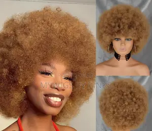 Bouncy Afro Wig