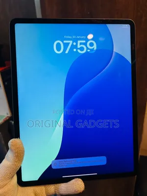 Apple iPad Pro 12.9 (2021) 128 GB Gray