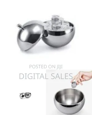 Double-Wall Insulated Ice Bucket