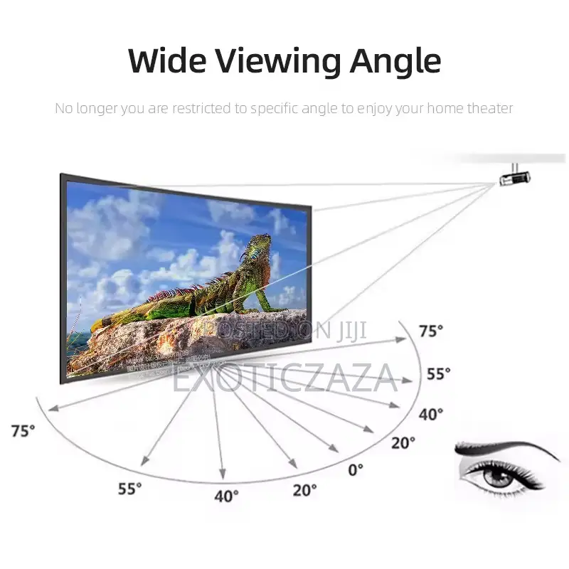 Anti Light Projector Screen