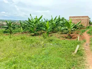 Plots of Land