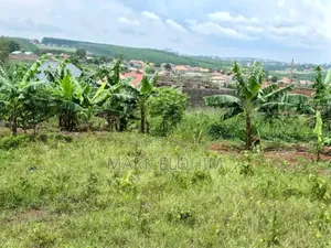 Plots of Land