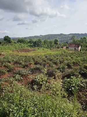 Full Acre on Forced Sale in Heart of Kitende Nalubude Along Ntebe Rd