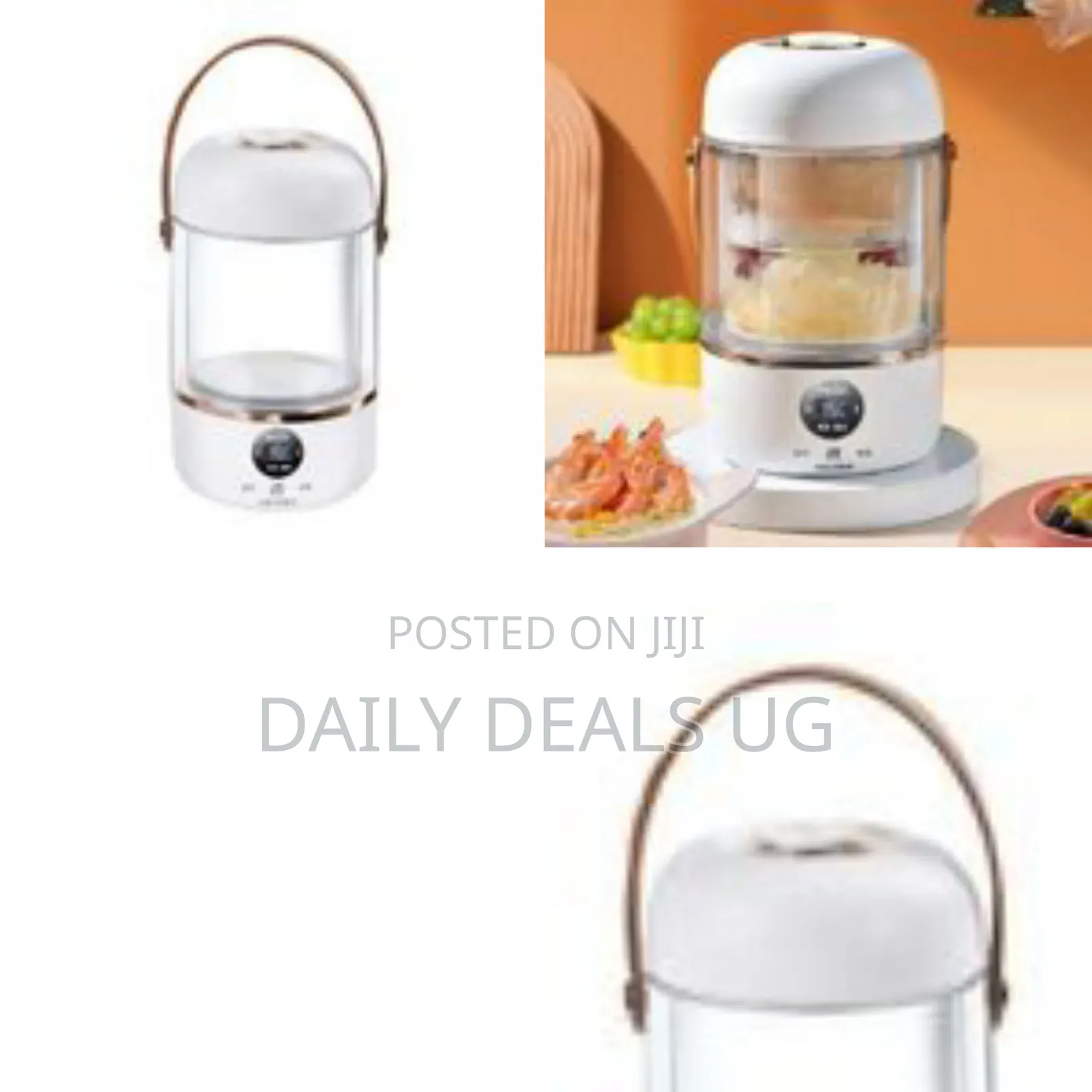 Portable Multi-Functional Electric Health Pot or Stew Cup