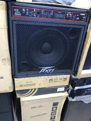 Peavey Combo