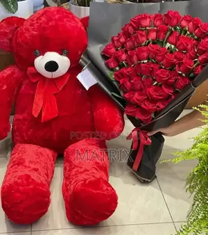 Teddy Bear for Valentines