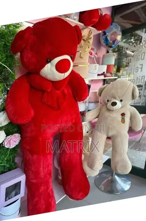 Teddy Bear for Valentines