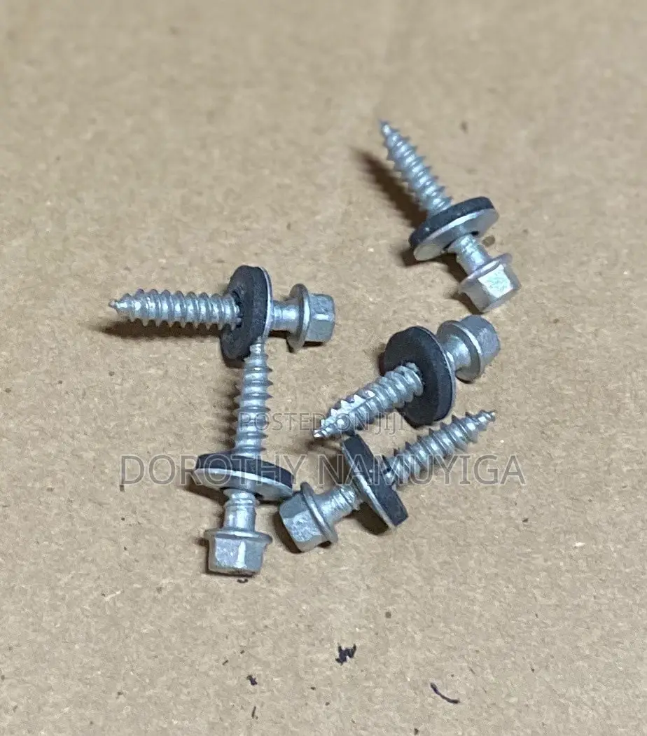 Carpentry Screws And Roofing Screws